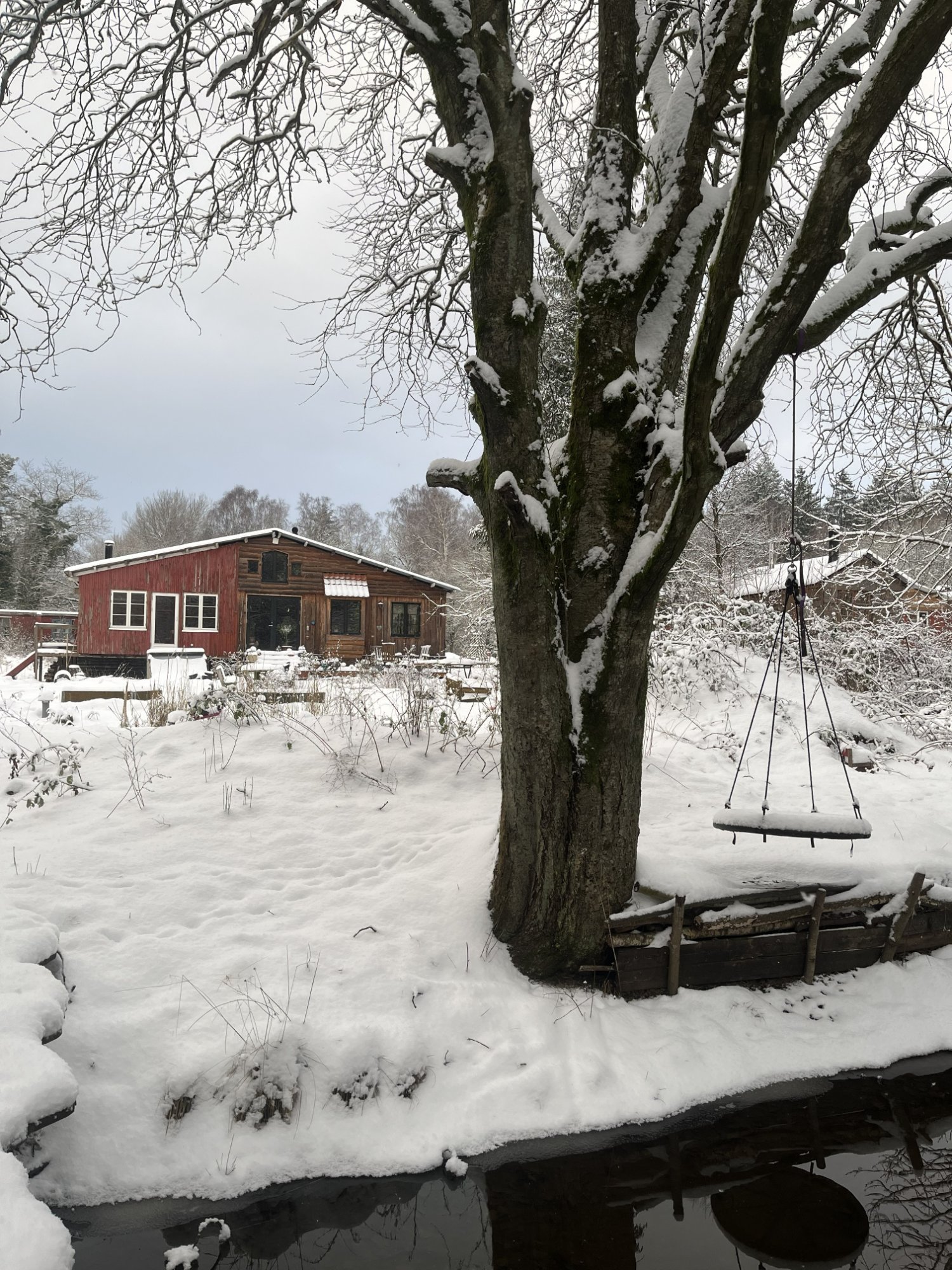 De røde længer under tyk sne en solskinsdag